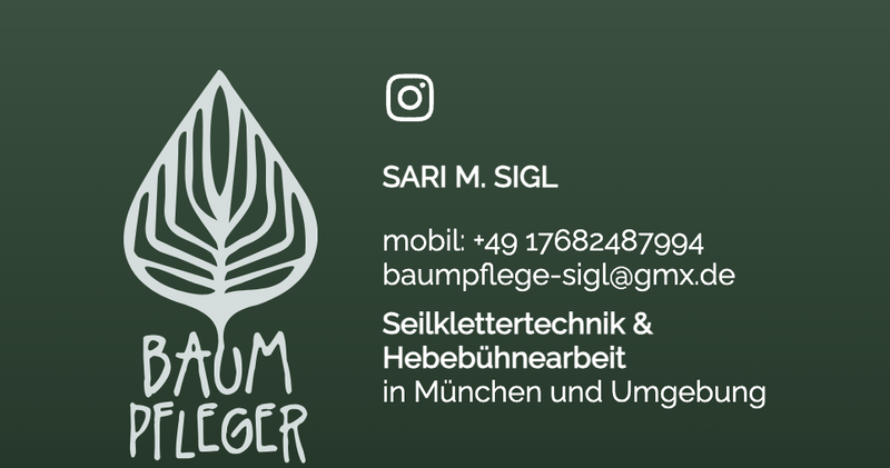 Baumpfleger - Baumpflege Sigl project image