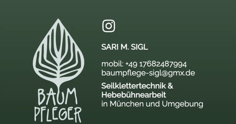 Baumpfleger - Baumpflege Sigl project image